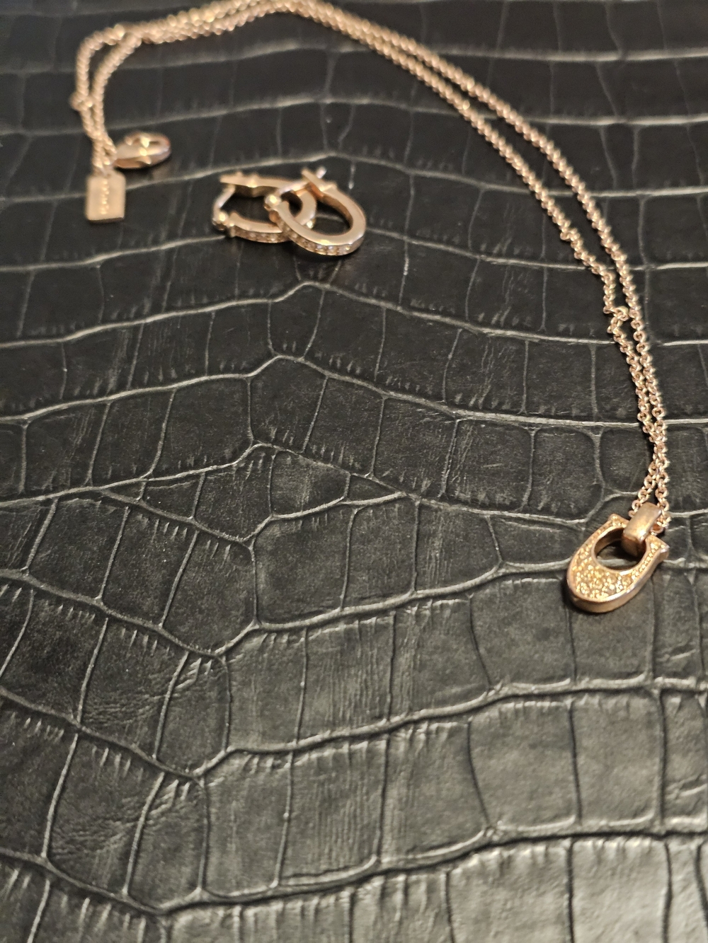 Rose Gold Pave Coach Pendant Necklace And Earrings Set